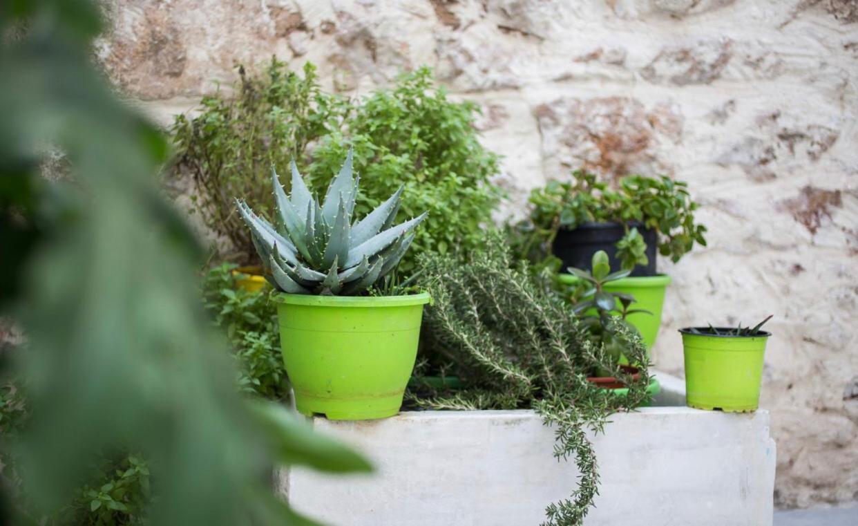 A Litte Taste Of Home Guest House Athen Eksteriør billede